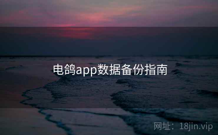电鸽app数据备份指南