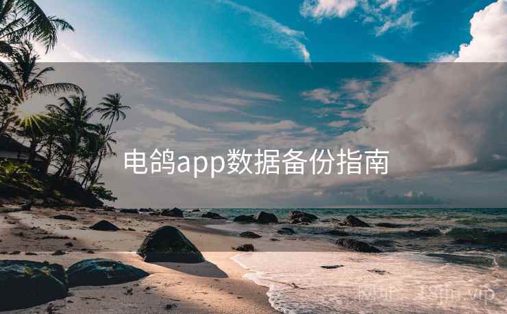 电鸽app数据备份指南
