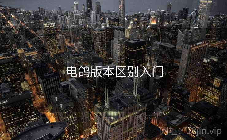 电鸽版本区别入门