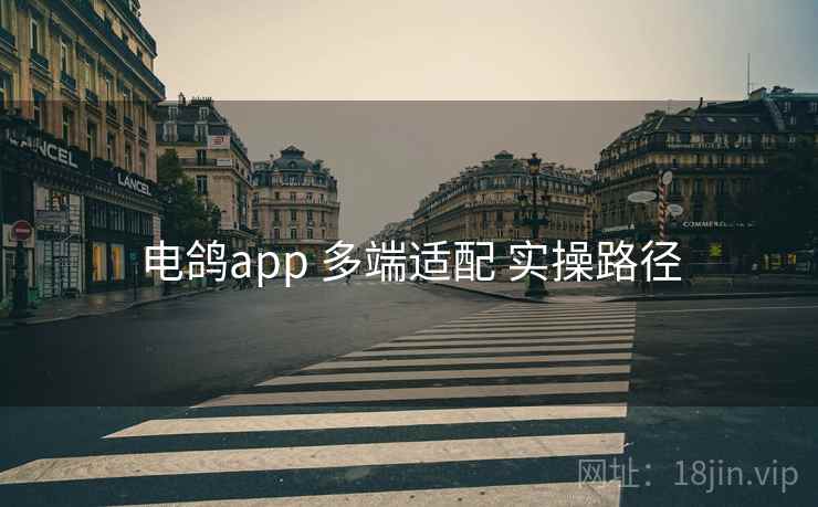 电鸽app 多端适配 实操路径